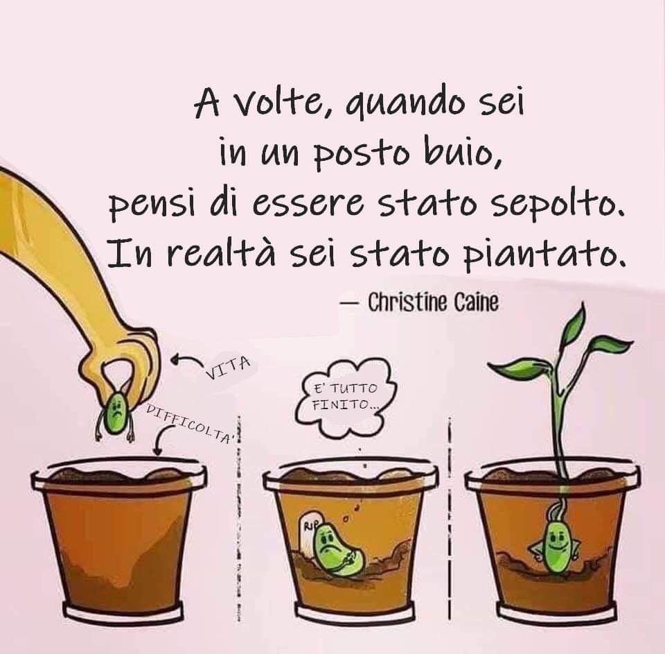 200326 vignetta sepolto piantato